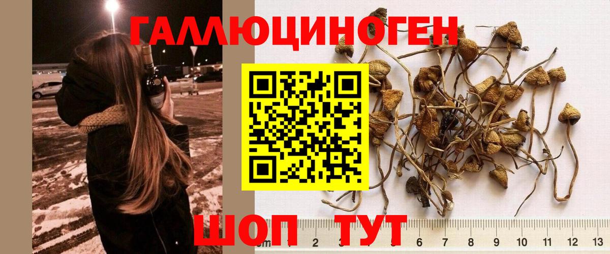 Галлюциногенные грибы мухоморы  Вход с VPN  Медногорск  Псилоцибиновые грибы ЛСД 